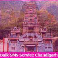 bulk sms service chandigarh