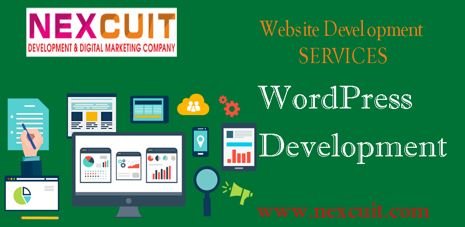 Nexcuit Web Solution –  Website Development Services