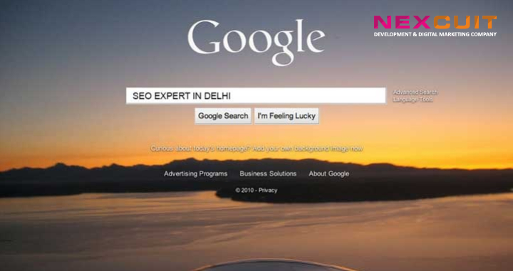 How You Can Reach the Best SEO Expert in Delhi