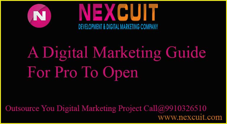 A Digital Marketing Guide For Pro To Open Digital Marketing Company In Delhi