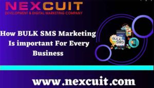 How BULK SMS Marketing Is important For Every Business