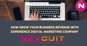 How can you grow your business revenue with Experience Digital marketing company?