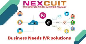 Reasons why your business needs IVR solutions